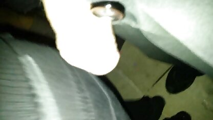 Vòi nước dài trong miệng của một con sec thu nguoi va cho chó cái trẻ