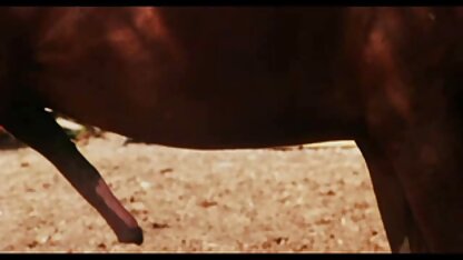 Một ông già bà già trong đen vớ chị với phim sec khi dit nguoi một con ngựa giống có râu