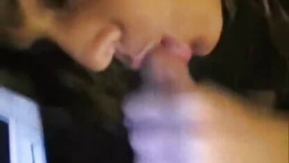 Hai xem phim séc thú con chó cái ngồi trên giường và bị đẩy ra sau má bởi những cái ngoáy dày và dài